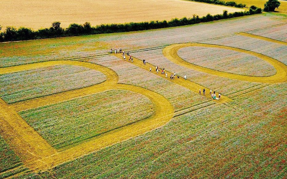 Tunisia Land Of The Bio Kings Group